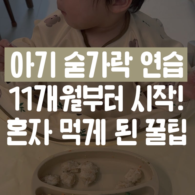 아기 숟가락 연습 시기 방법 & 자기주도 스푼 턱받이 추천