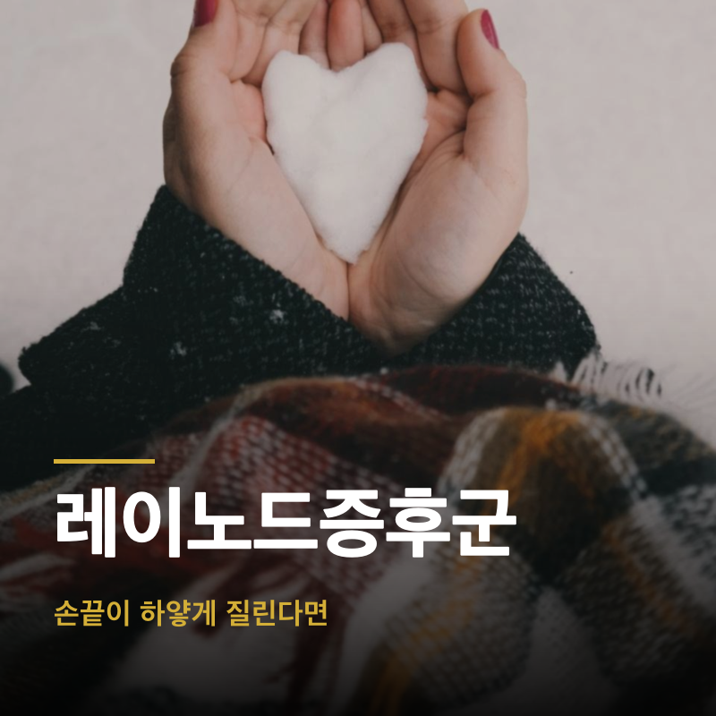 레이노드증후군, 손끝이 하얗게 질린다면