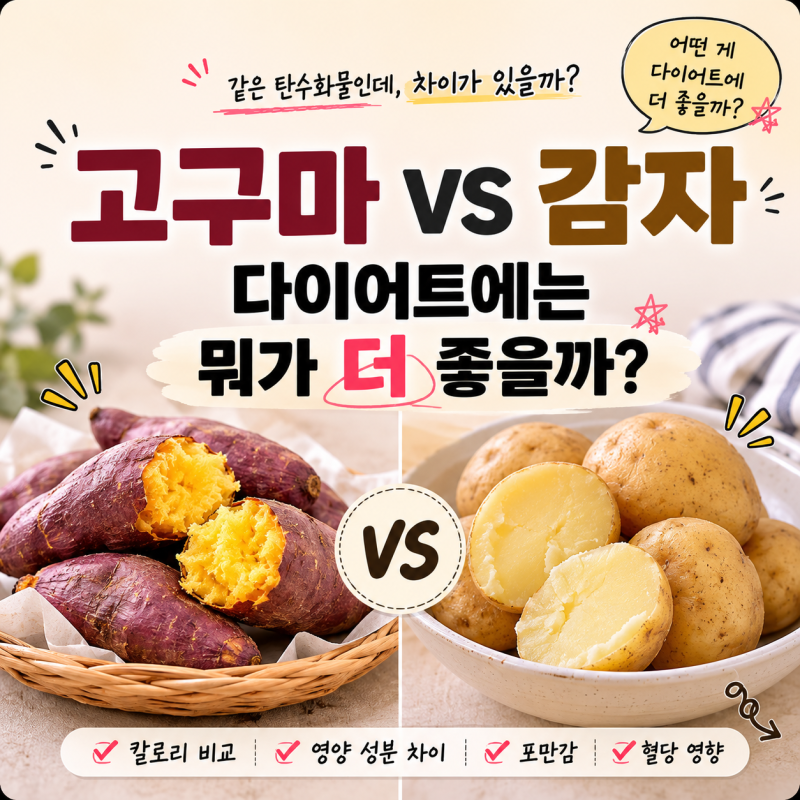 고구마 vs 감자 다이어트, 혈당과 칼로리 과연 승자는 누구일까?