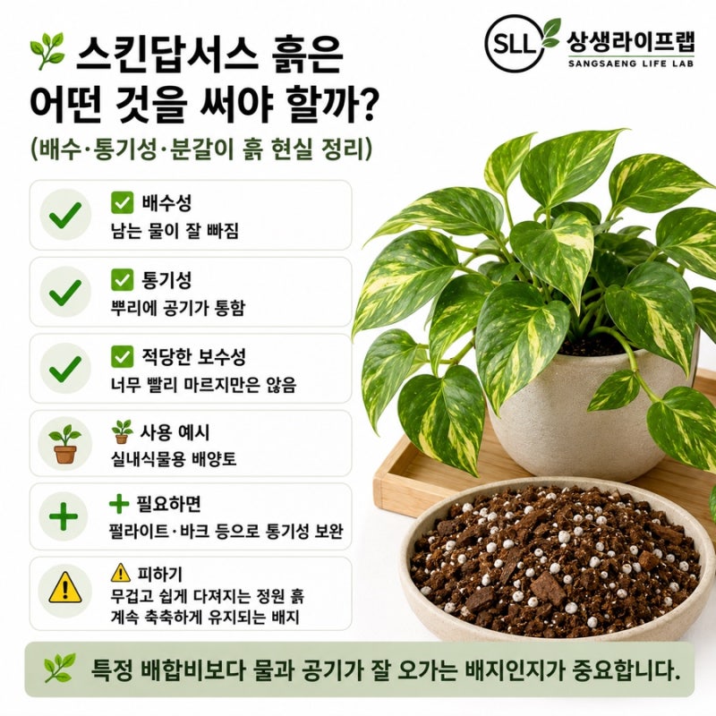 스킨답서스 흙은 어떤 것을 써야 할까?(배수·통기성·분갈이 흙 현실 정리)