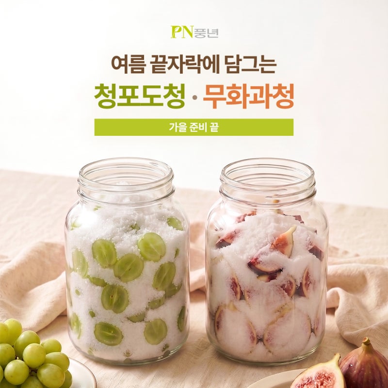 과일청 만들기 청포도청 무화과청 담그는 법 초간단 레시피