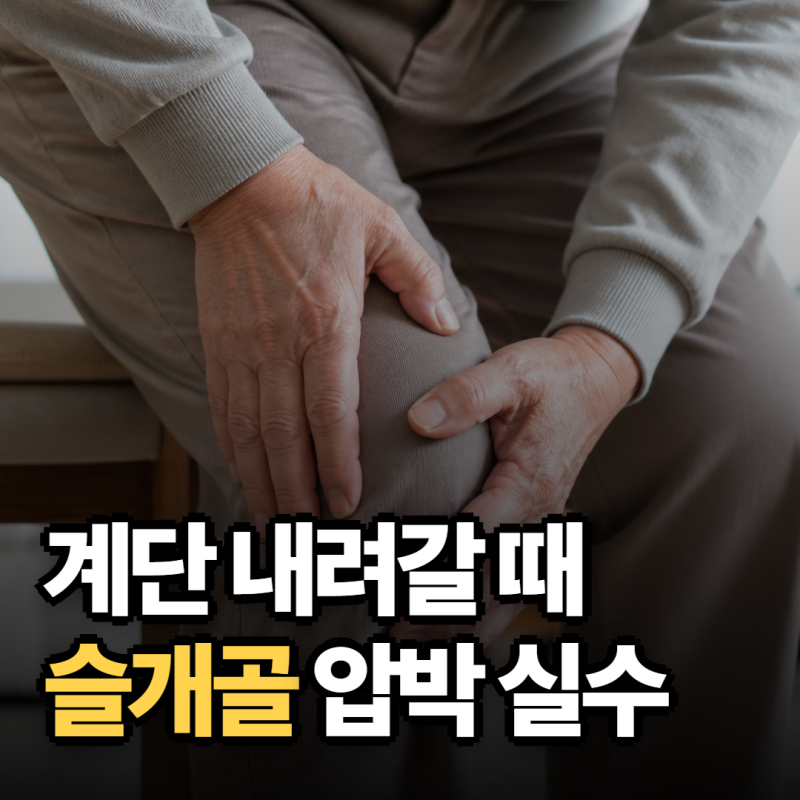무조건 조이면 안 된다.. 슬개골무릎 보호대 선택 기준 1위