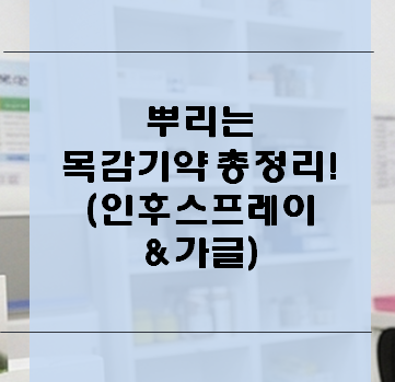 뿌리는 목감기약 총정리! 약사가 알려주는 인후스프레이·가글 선택법 (by 미미 약사)
