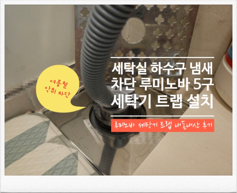 세탁실 하수구 냄새 차단 루미노바 5구 세탁기 트랩 설치 내돈내산 후기