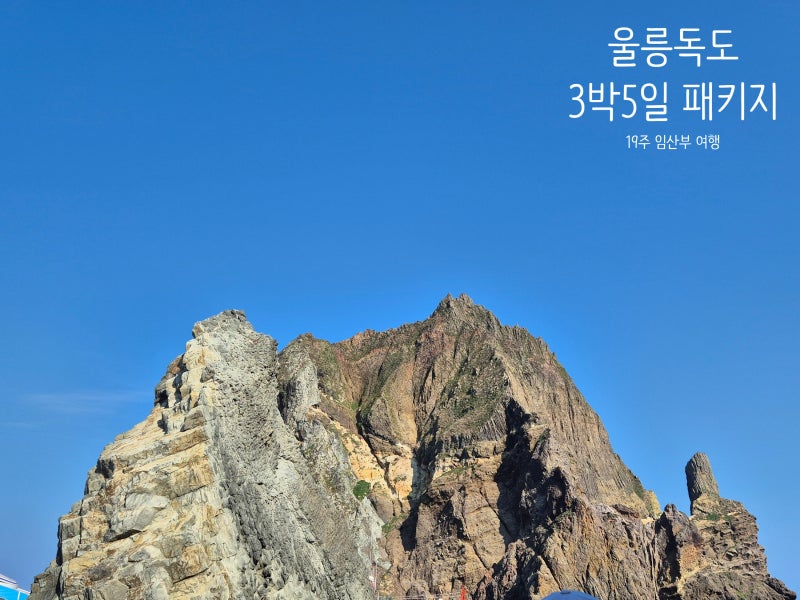 [19주 임산부 여행] 빡센 울릉도 독도 3박 5일 패키지 후기 ft.메뉴판 다수