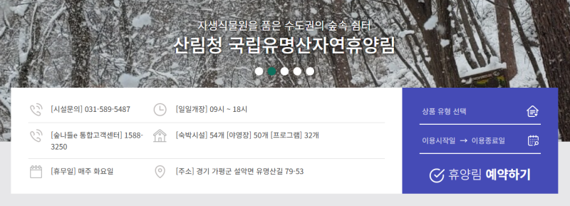유명산자연휴양림 예약 방법과 요금 총정리, 성수기 확인은 필수