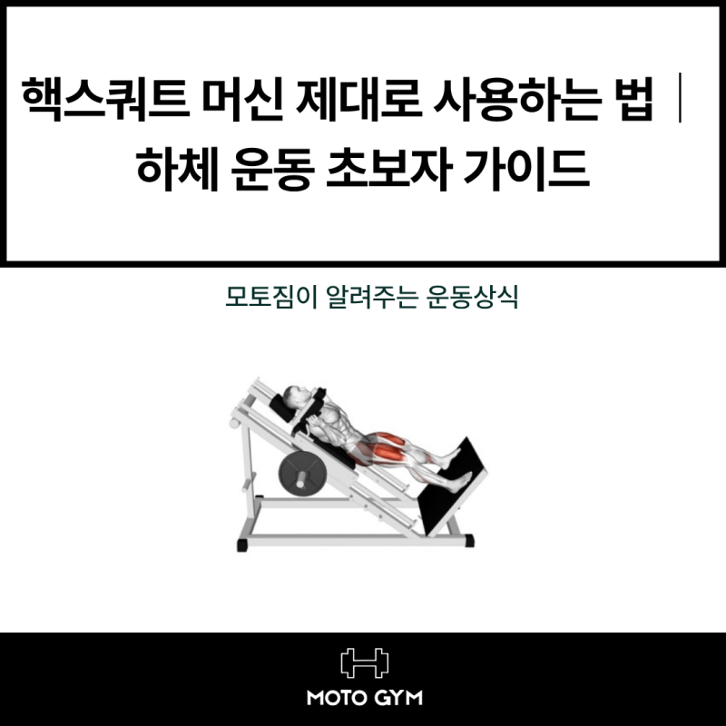 핵스쿼트 머신 제대로 사용하는 법｜하체 운동 초보자 가이드