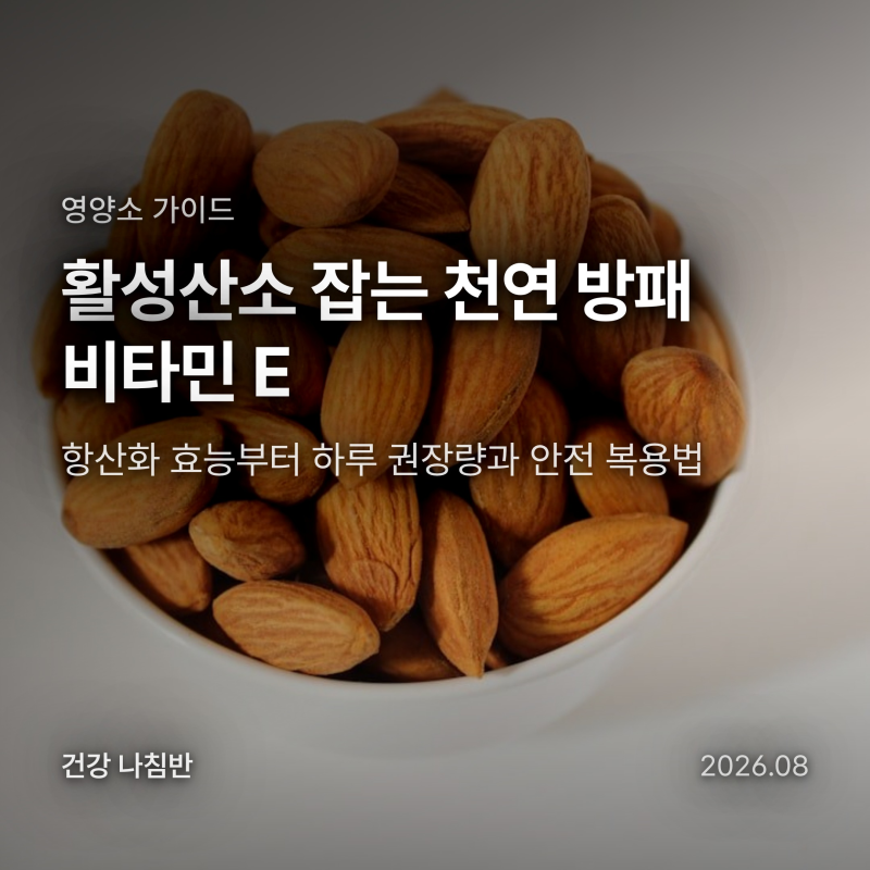 비타민 E 효능과 하루 12mg 권장량, 과다복용 부작용 막는 섭취법