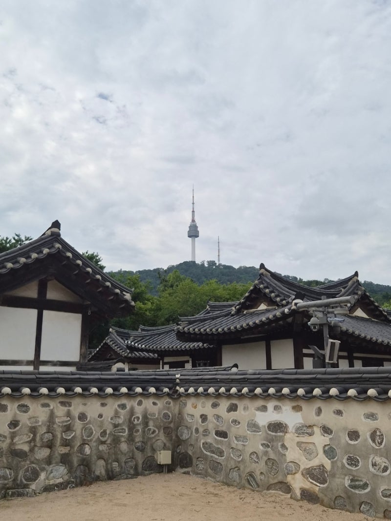 Namsangol Hanok Village: A Free Must-Visit Spot in Seoul