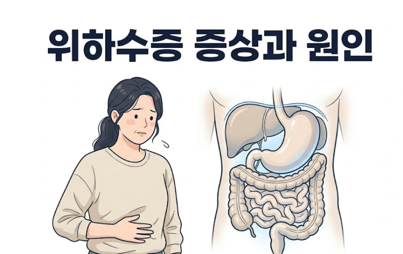 위하수증 증상과 원인, 속이 더부룩하다면?