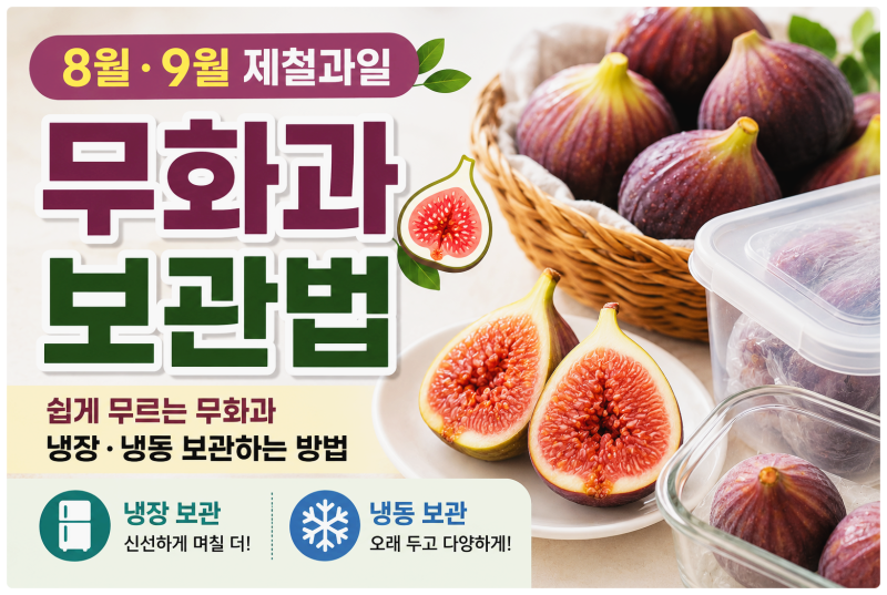 8월·9월 제철과일 무화과｜쉽게 무르는 무화과 보관법과 냉장·냉동 방법