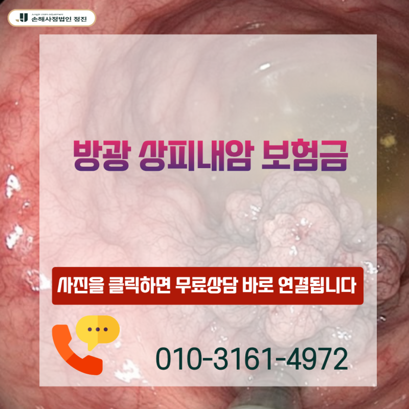 방광 상피내암 보험금 D09 진단받았는데 C67 일반암 전액 수령이 가능할까?