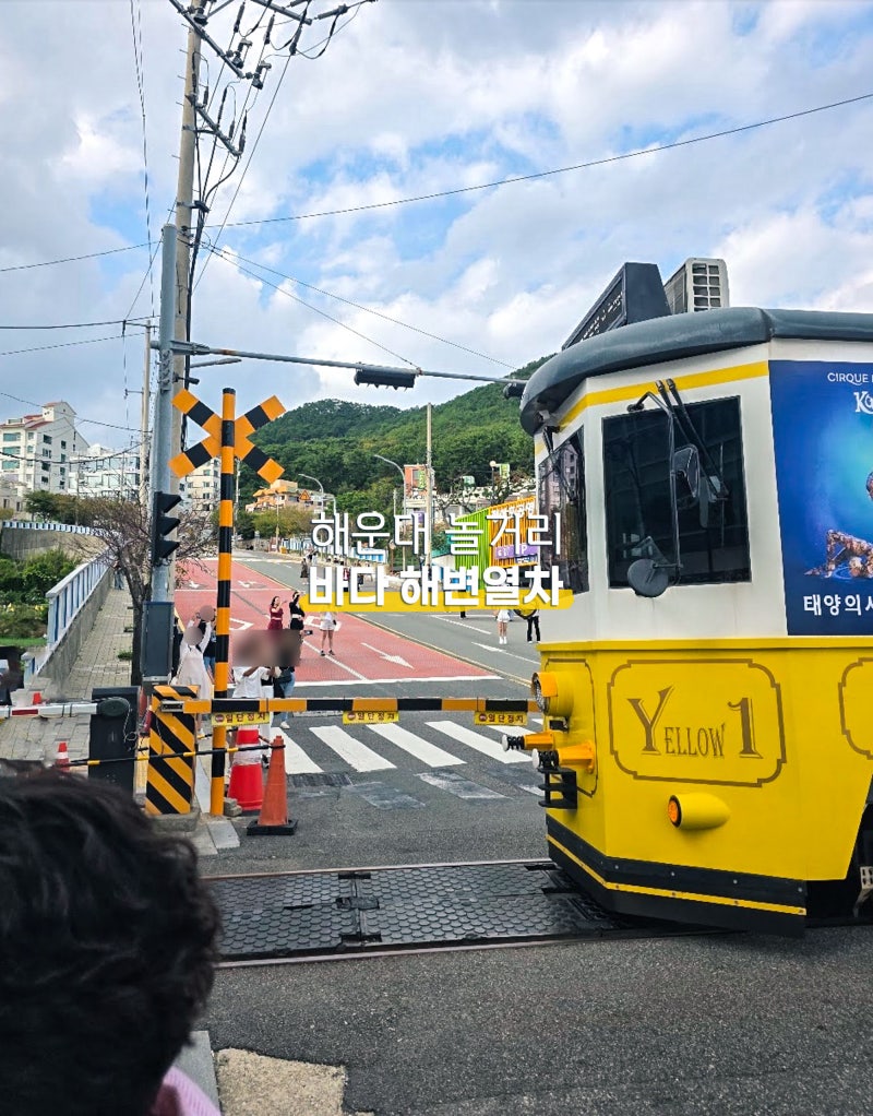 부산 해운대 놀거리, 바다 보며 달리는 미포정거장 해변열차 예약