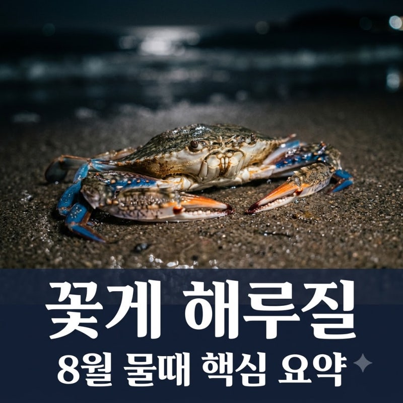 "꽃게 해루질, 막 들어갔다간 낭패" 8월 물때 추천 포인트