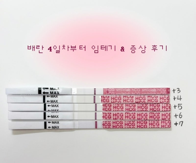 다낭성 임신준비 | 난포주사 후 배란 4일차~7일차 증상과 임테기 후기