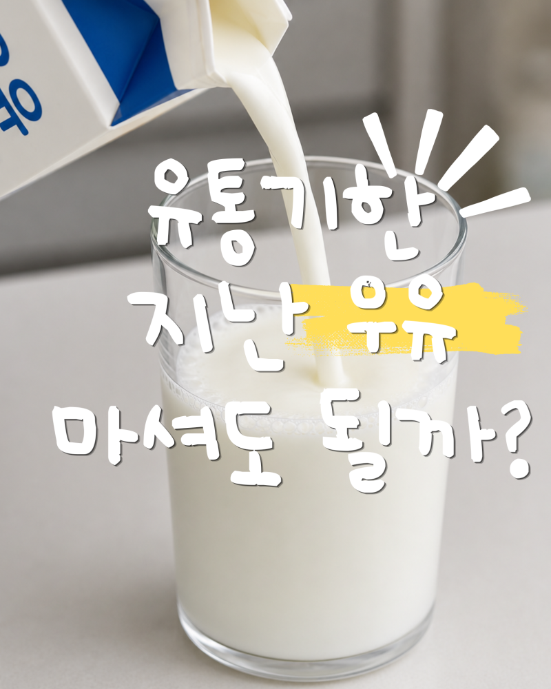 미개봉 우유 유통기한 지나도 마셔도 될까? 우유 소비기한과 보관방법 총정리