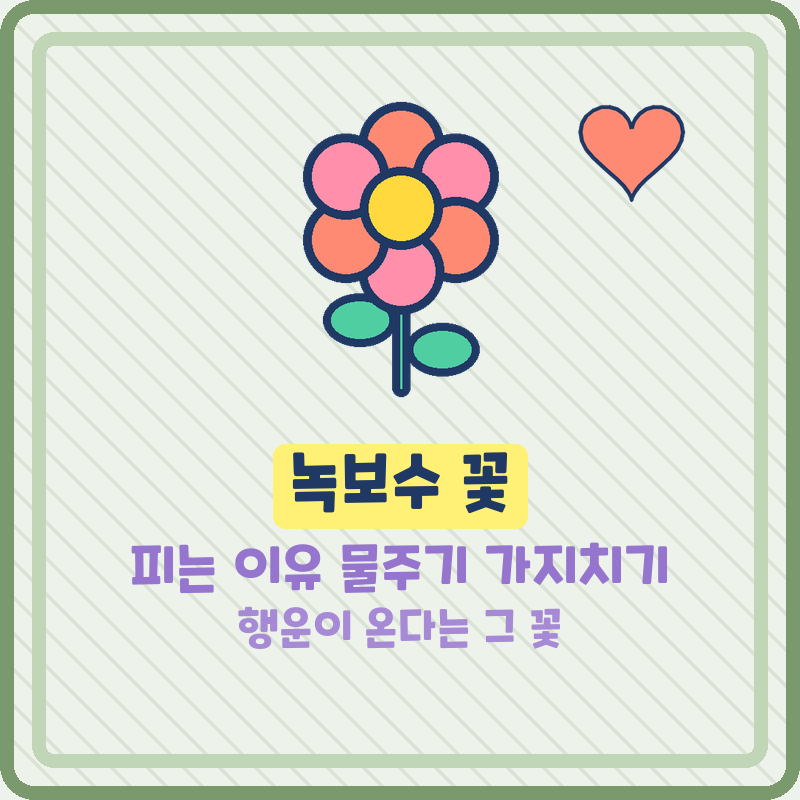 녹보수 꽃 피는 이유 물주기 가지치기 키우기 방법 (기본정보)