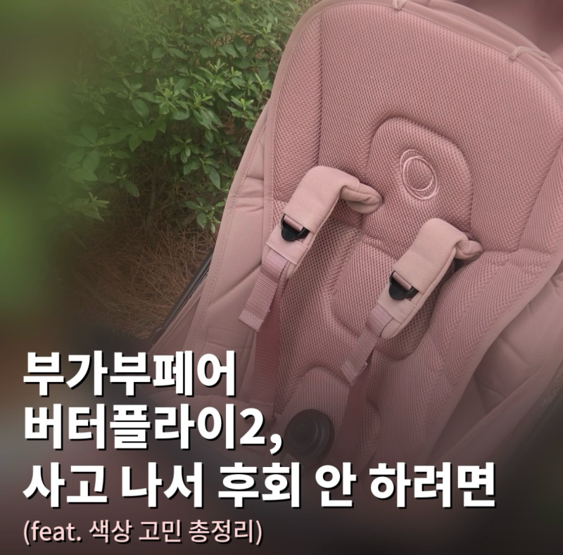 부가부 버터플라이2, 사고 나서 후회 안 하려면 (feat. 색상 고민 총정리)