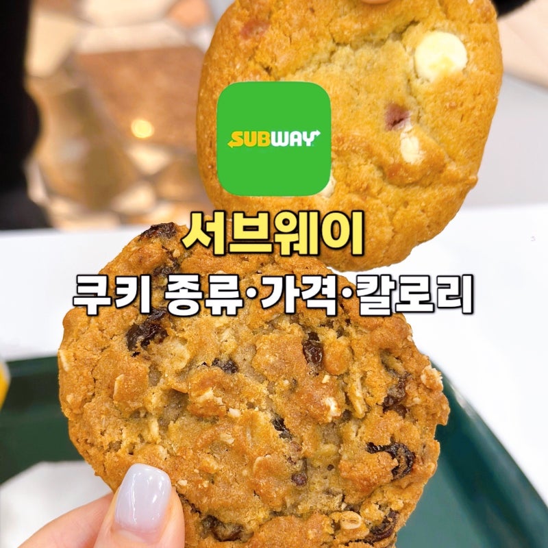 서브웨이 쿠키 종류 가격 칼로리 맛?아메리카노랑 찰떡!