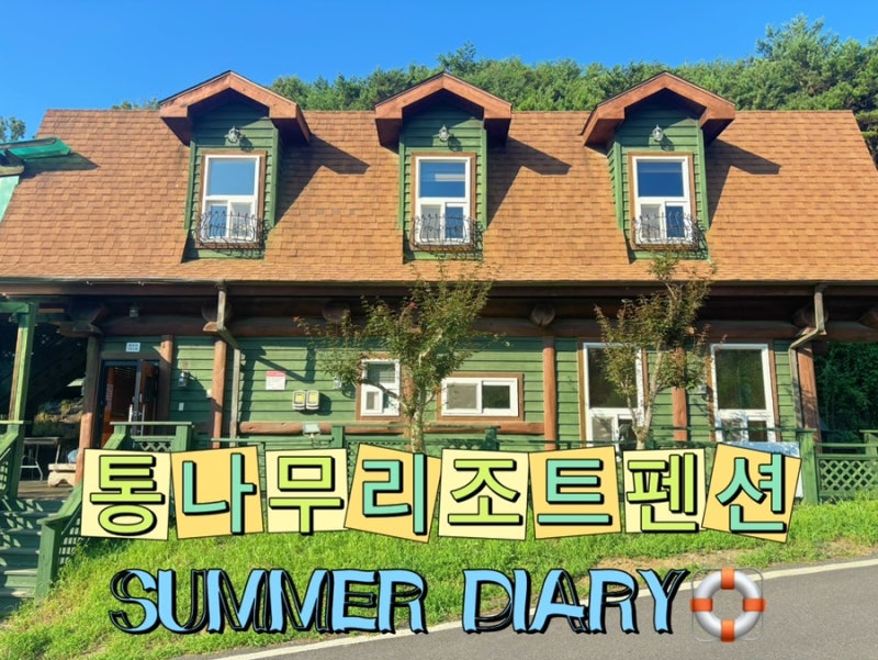 [보령]통나무리조트펜션ㅣ애견동반펜션ㅣ대형수영장과 거품파티ㅣ자연 속 힐링 만족후기
