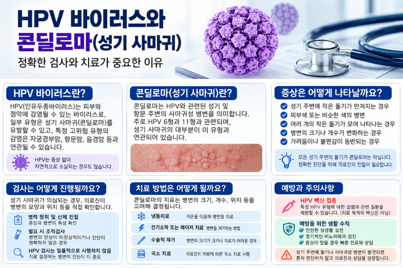 용산역비뇨기과 HPV바이러스 성기사마귀 곤지름 왜 자꾸 재발할까?