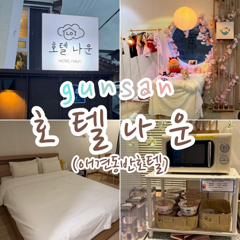 군산 나운호텔 숙박 후기, 깔끔하고 기본 서비스까지 만족스러웠던 애견동반숙소
