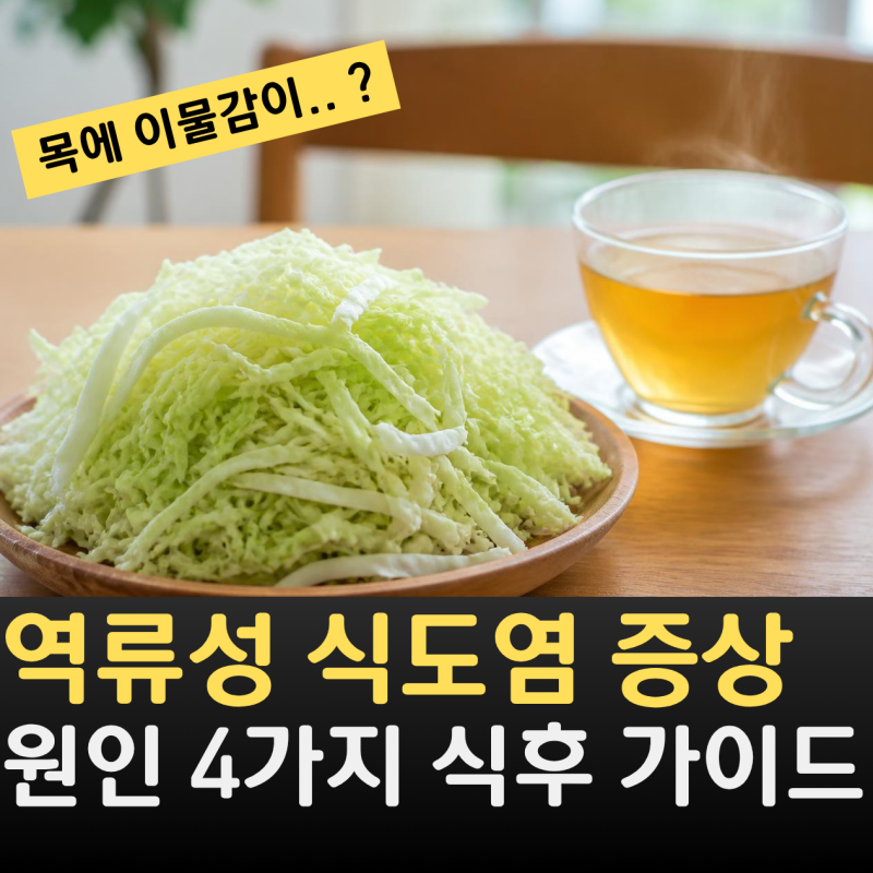 목에 이물감 들기 시작했다면, 역류성 식도염 증상 원인 4가지와 식후 가이드
