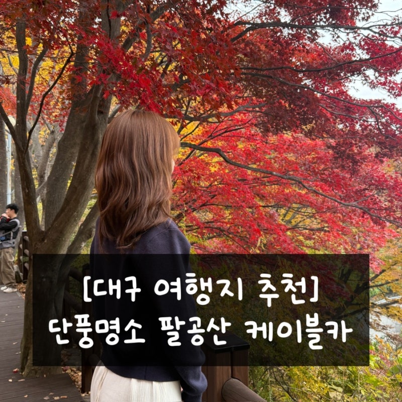 대구 팔공산케이블카 9월 10월 여행 운영시간•주차•가격 할인
