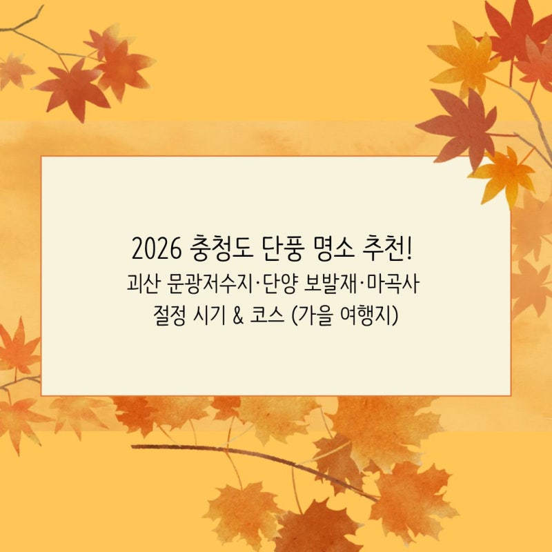 2026 충청도 단풍 명소 추천! 괴산 문광저수지·단양 보발재·마곡사 절정 시기 & 코스 (가을 여....
