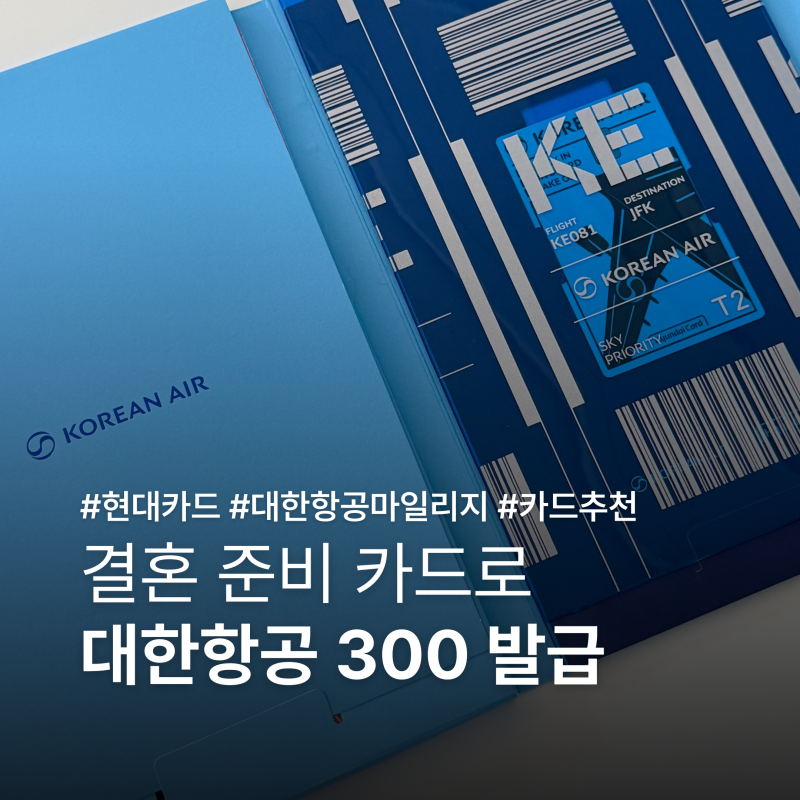 W36. 현대카드 대한항공 300 발급 후기｜연회비 30만원 캐시백+보너스 마일리지 1만 마일 적립 |....