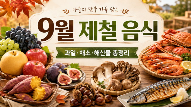 9월 제철 음식 총정리│가을에 꼭 먹어야 할 과일·농산물·해산물