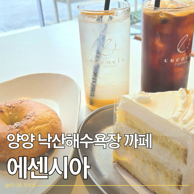 양양 낙산 해수욕장 까페 에센시아 인생커피 만났어요