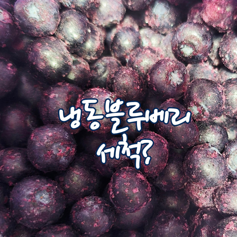 냉동 블루베리 세척법 먹기 전에 씻어야 할까