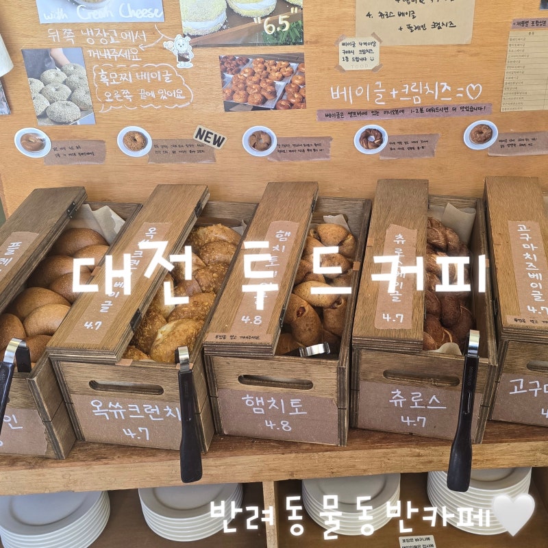 [투드커피] 대전 서구 괴곡동 애견동반 카페｜베이글과 야외 테라스가 있는 대전 외곽카페 ....