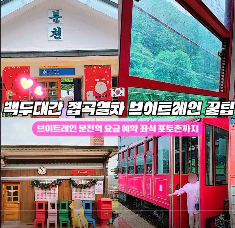 백두대간 협곡열차 브이트레인 꿀팁 완벽정리 (분천역 요금 예약 좌석 포토존까지)