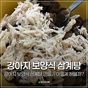 강아지 보양식 삼계탕 만들기 어떻게 해볼까?
