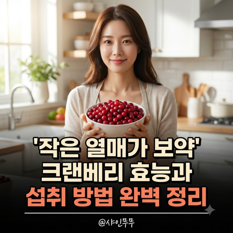 "작은 열매가 보약" 크랜베리 효능 5가지와 증상별 섭취 가이드