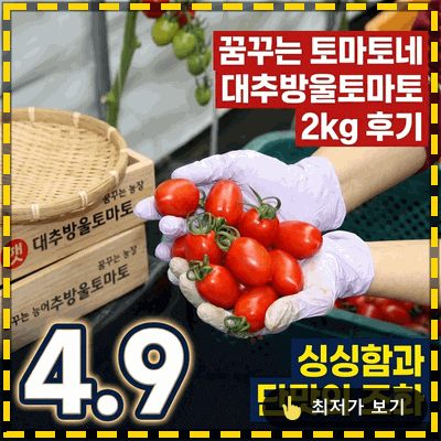꿈꾸는 토마토네 대추방울토마토 2kg 후기, 싱싱함과 단맛의 조화