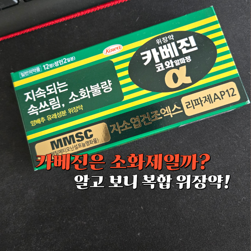 카베진은 소화제일까 위장약일까? 올바른 복용법 확인