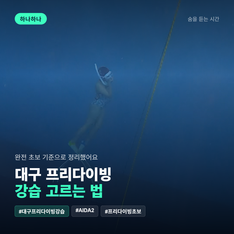 대구프리다이빙 강습 고르는 법, 완전 초보 기준으로 정리했어요