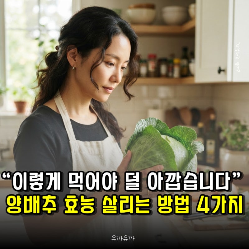 “이렇게 먹어야 덜 아깝습니다” 양배추 효능 살리는 방법 4가지