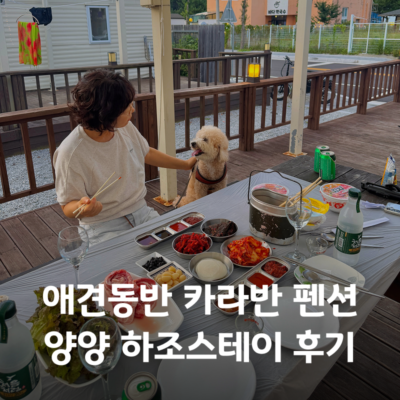 양양 애견동반 숙소 추천! 양양 펜션 하조스테이 하조대 카라반 감성 가족여행