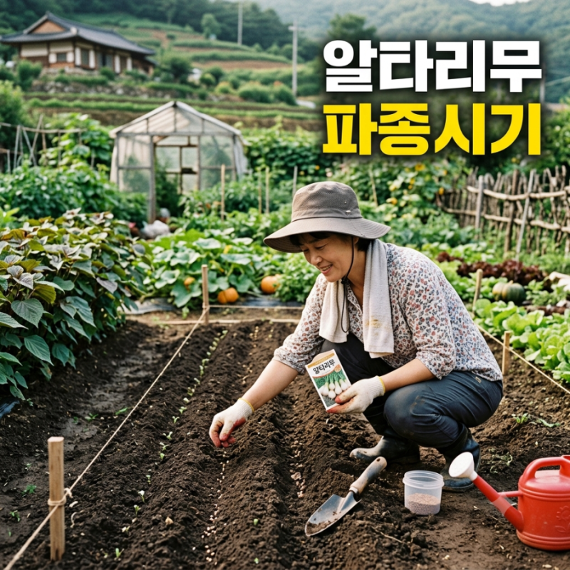 알타리무 파종시기 가을에는 언제 심을까? 총각무 심는 방법과 수확시기