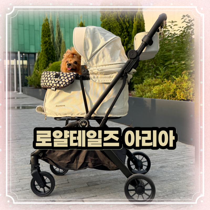 로얄테일즈 강아지 유모차 아리아 글로리아 플러스 크기 비교