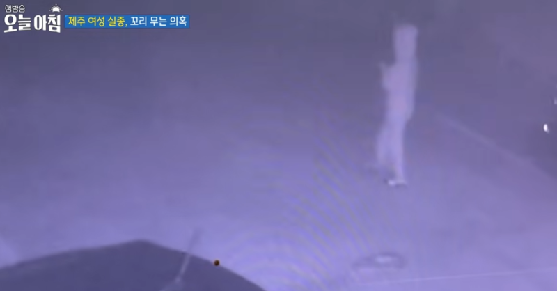 장미란씨 실종사건 타살 가능성에 대한 고찰
