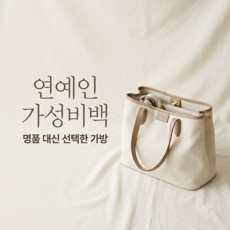 수억 버는 연예인 명품 대체 가방 3만원대 실화? 갓성비 애착백 정리