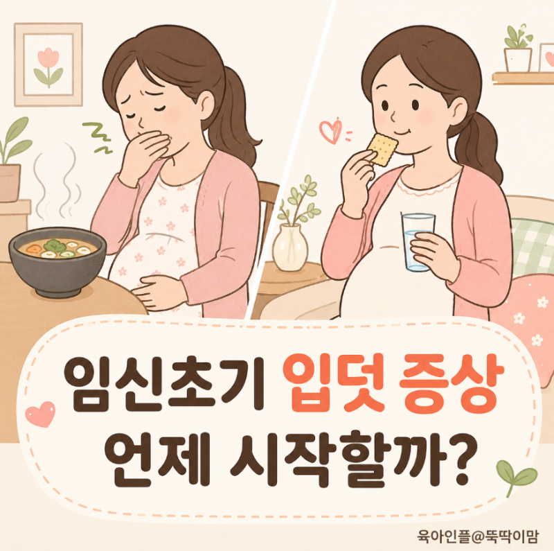 임신초기 입덧 증상 언제 시작할까? 시기와 완화 방법