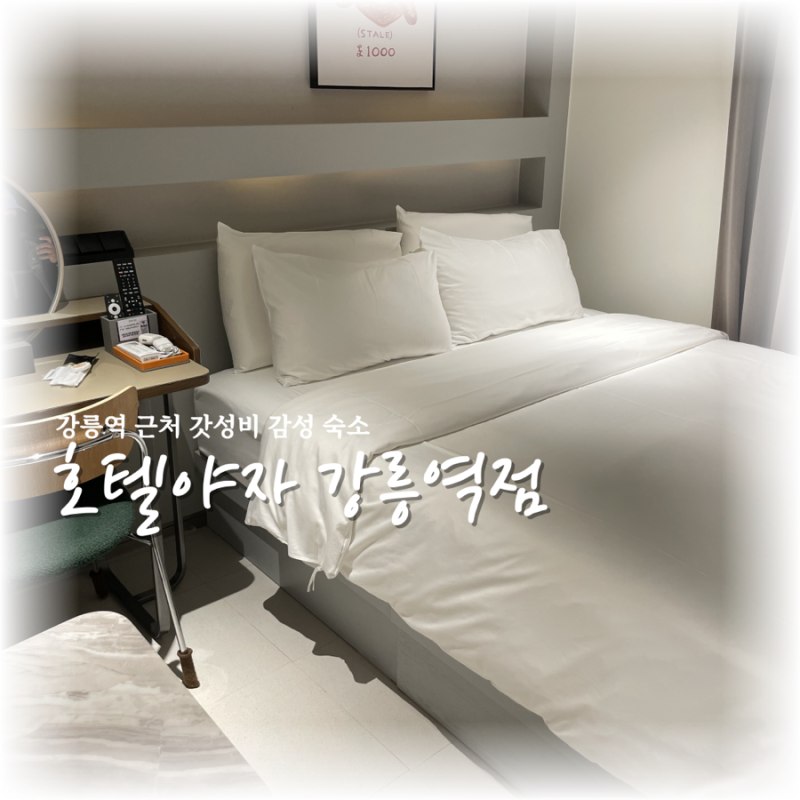 강릉역 근처 숙소 | 쾌적한 가성비 감성 숙소 '호텔야자 강릉역점' 뚜벅이 여행자 찐 후기