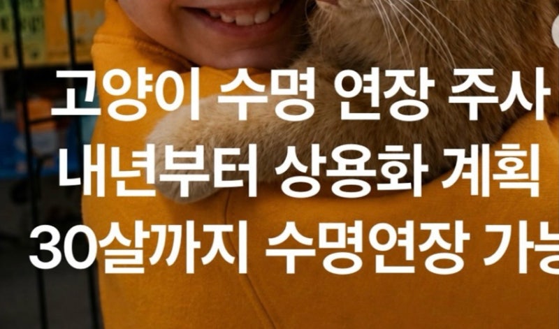 고양이 수명 연장 주사 내년부터 상용화 계획 30살까지 수명연장 가능 출처 더쿠넷