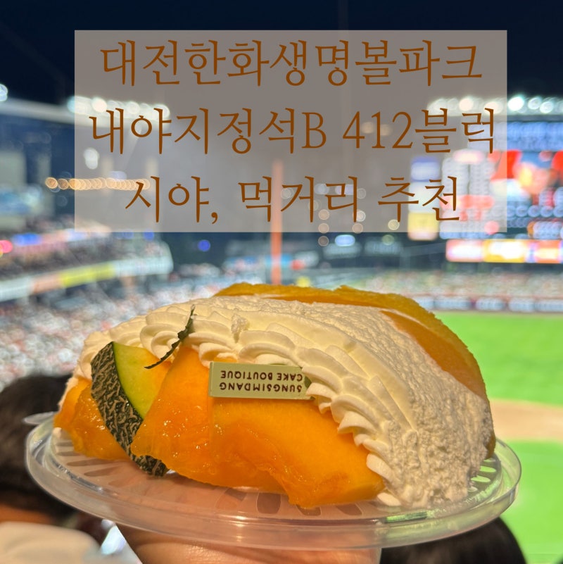 프로야구 직관 / 한화이글스 대전한화생명 내야지정석B 412블럭 시야, 먹거리 추천